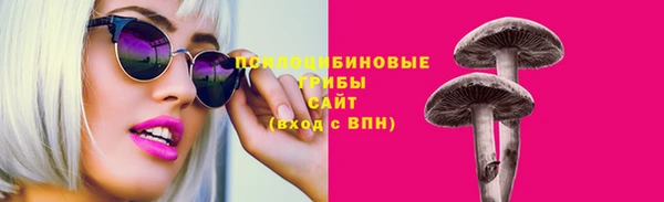 дживик Богданович