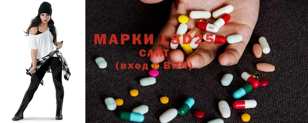 мдпв Богородицк