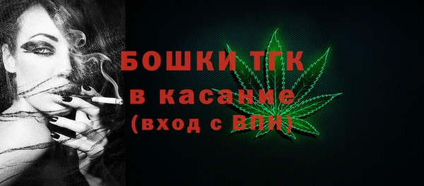мдпв Богородицк