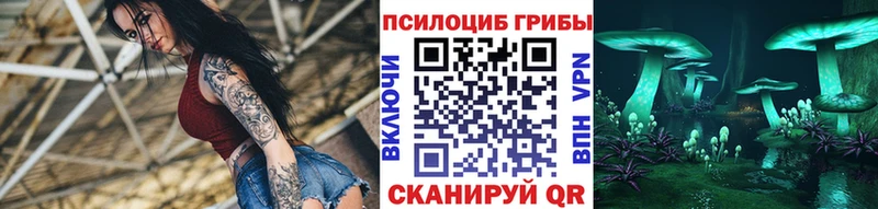 Галлюциногенные грибы GOLDEN TEACHER  наркошоп  Дубовка 