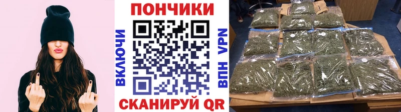 дарк нет как зайти  Дубовка  Каннабис конопля 